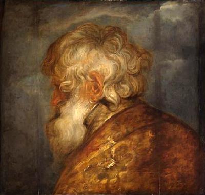 Anthony Van Dyck Studienkopf eines alten Mannes oil painting image
